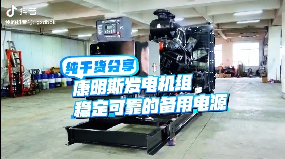 「視頻」如何應(yīng)對(duì)夏天斷電危機(jī)？640KW康明斯發(fā)電機(jī)組助您輕松應(yīng)對(duì)挑戰(zhàn) 